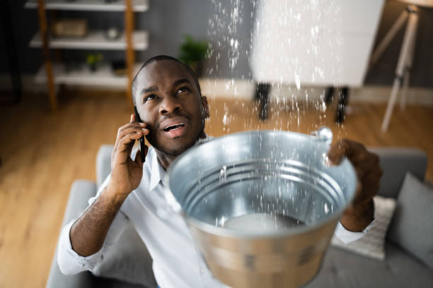 Best Water damage restoration insurance claims  in Kalaheo, HI