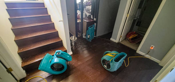 Best Water damage contractors near me  in Kalaheo, HI