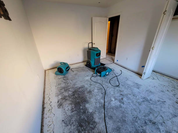 Best Flood restoration services  in Kalaheo, HI