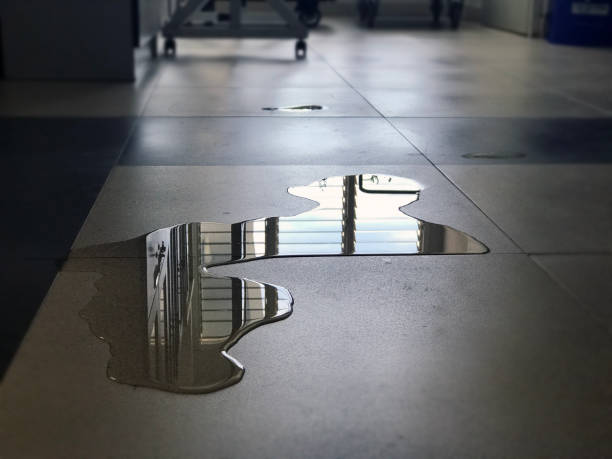 Best Commercial water damage restoration  in Kalaheo, HI