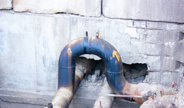 Water damage restoration mold remediation in HI
