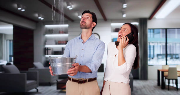 Best Basement water damage restoration  in Kalaheo, HI