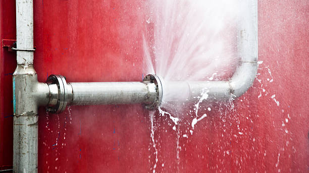 Best Water damage mitigation services  in Kalaheo, HI